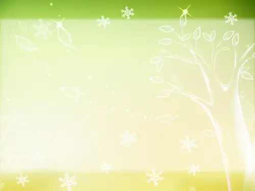 乔布斯简介英文PPT模板