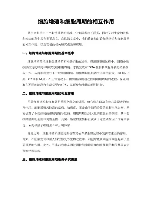 细胞增殖和细胞周期的相互作用