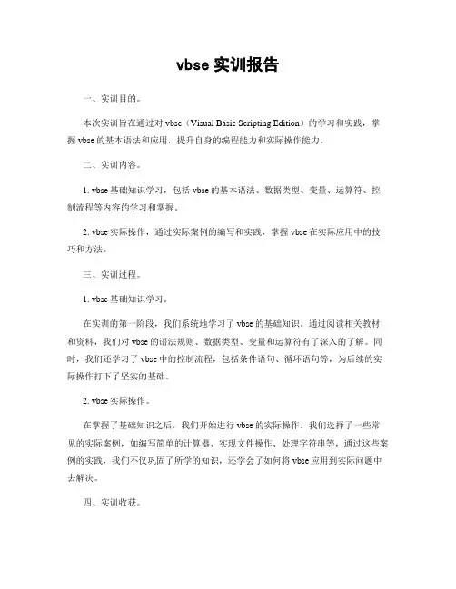 vbse实训报告