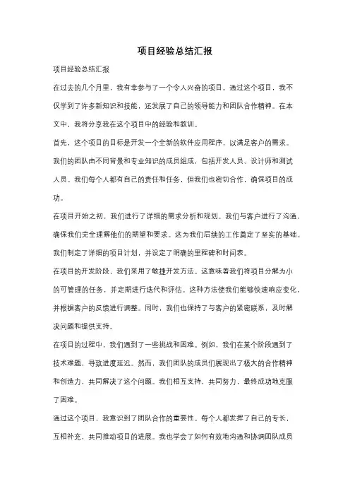 项目经验总结汇报