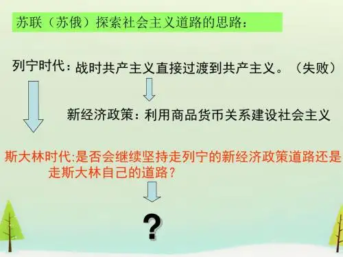 人民版高中历史必修二《七 苏联社会主义建设的经验与教训  二 斯大林模式的社会主义建设道路》公开课课件_9