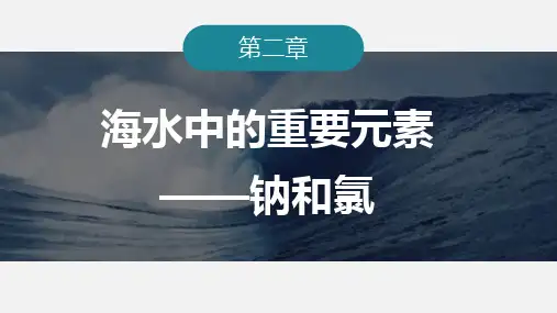 活泼的金属单质——钠课件-高一化学人教版(2019)必修第一册 