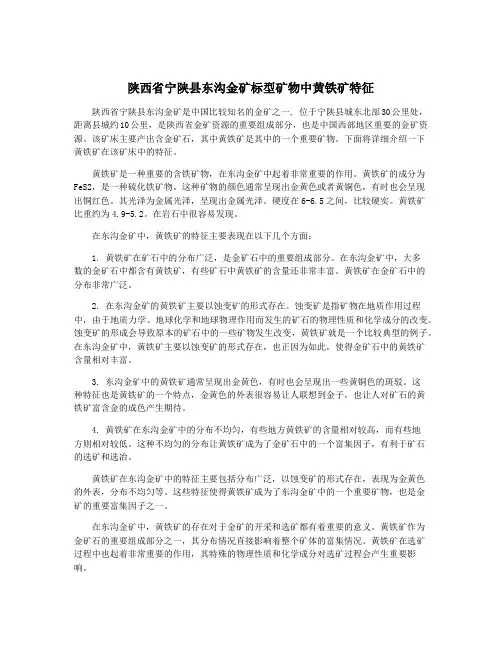 陕西省宁陕县东沟金矿标型矿物中黄铁矿特征