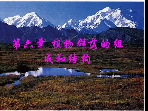 植物群落的组成和结构