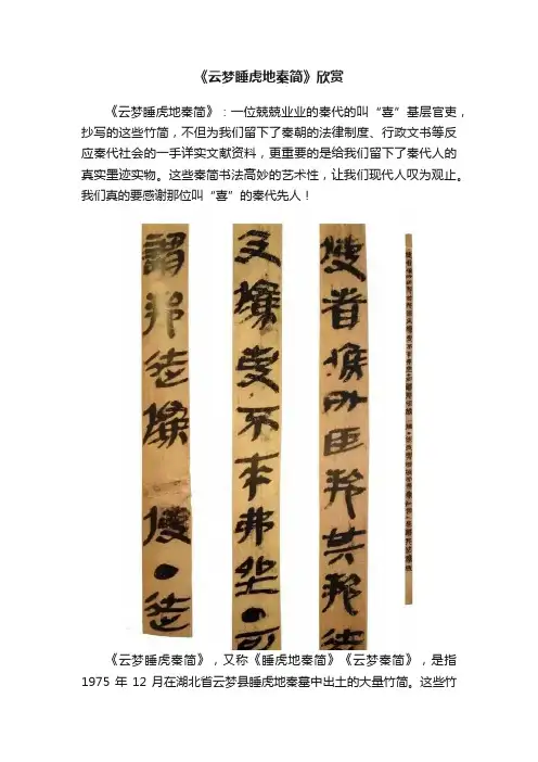 《云梦睡虎地秦简》欣赏