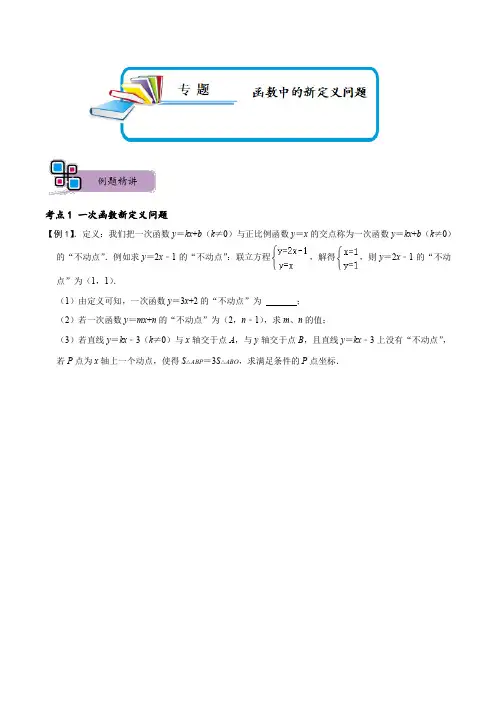 2023年中考数学专题《 函数中的新定义问题》原卷