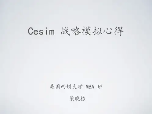 战略模拟软件CESIM全攻略