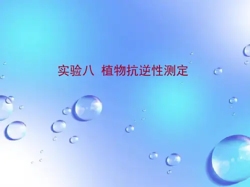 课件：实验八_植物抗逆性测定
