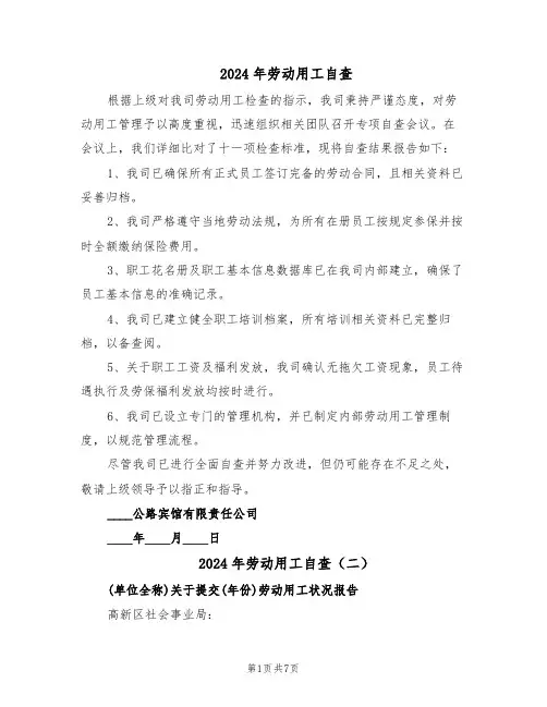 2024年劳动用工自查（五篇）
