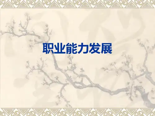 职业能力发展PPT课件
