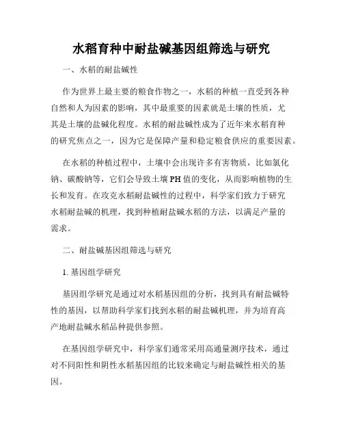 水稻育种中耐盐碱基因组筛选与研究