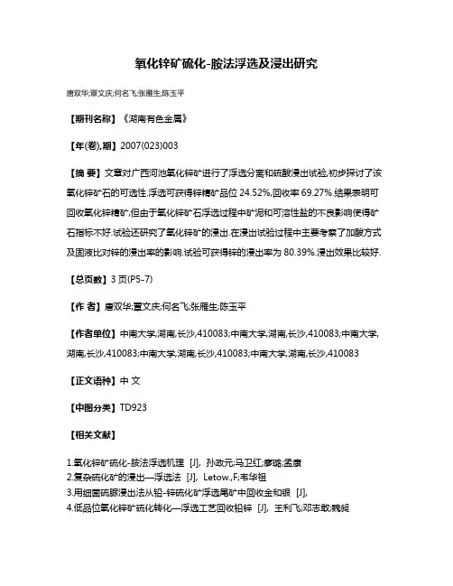 氧化锌矿硫化-胺法浮选及浸出研究