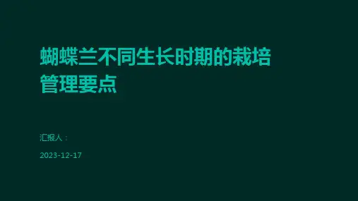 蝴蝶兰不同生长时期的栽培管理要点
