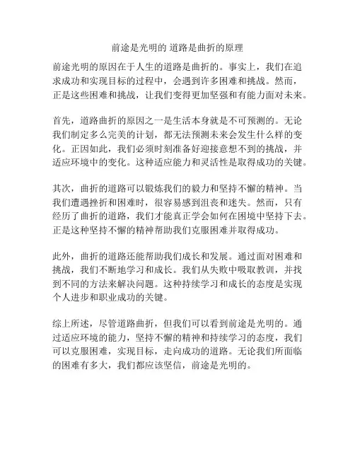前途是光明的 道路是曲折的原理