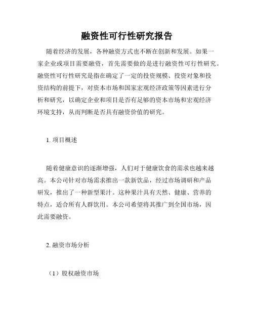 融资性可行性研究报告