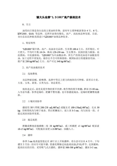 矮大头油葵“LD1003”高产栽培技术
