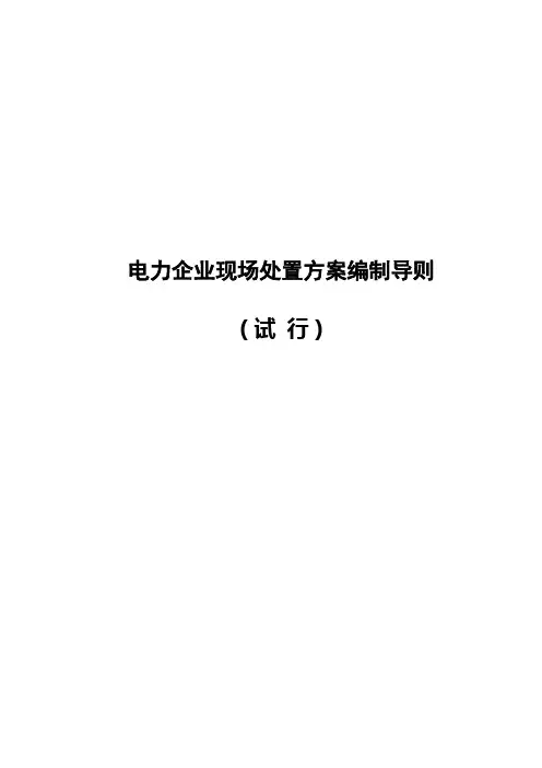 发电企业应急预案编制导则