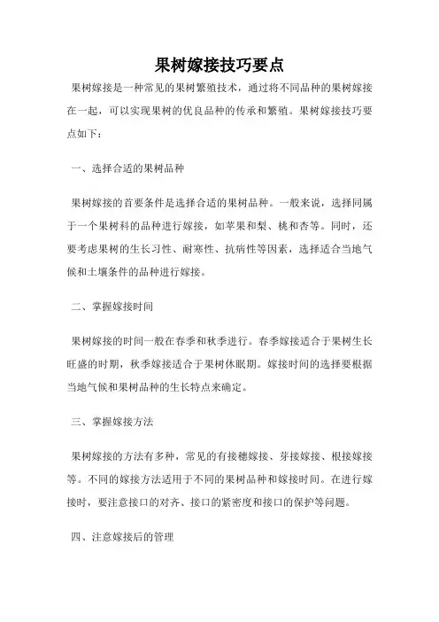 果树嫁接技巧要点