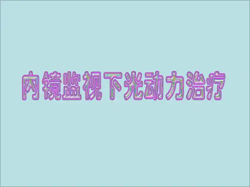 内镜监视下光动力治疗