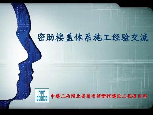 密肋楼板经验交流