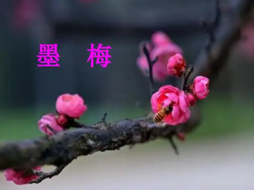 四年级下册语文课件墨梅｜PPT课件部编版3