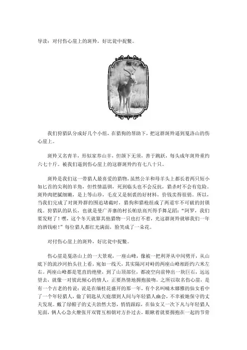 斑羚飞渡 第1章 瓮中捉鳖：斑羚走上了绝路