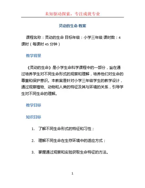 《灵动的生命》教案