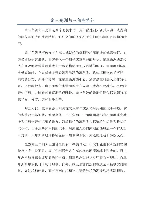扇三角洲与三角洲特征