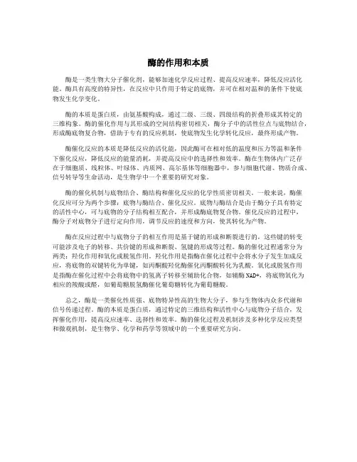 酶的作用和本质