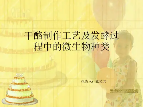 干酪的制作工艺及主要微生物