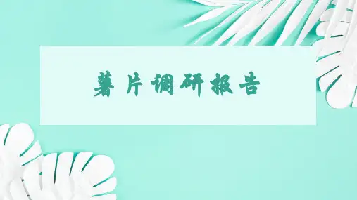 薯片调研报告