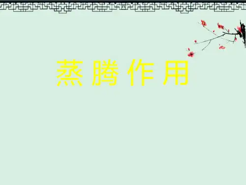 课件《蒸腾作用》PPT教育课件