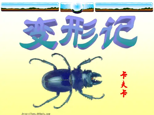 《变形记(变形记)》课件43张+++2022—2023学年统编版高中语文必修下册