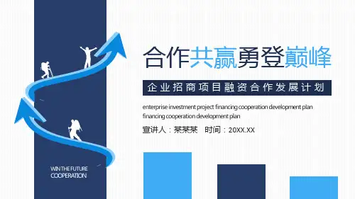 企业招商项目融资合作发展计划动态PPT