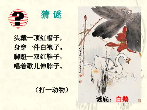 13.《白鹅》PPT课件(完美版)