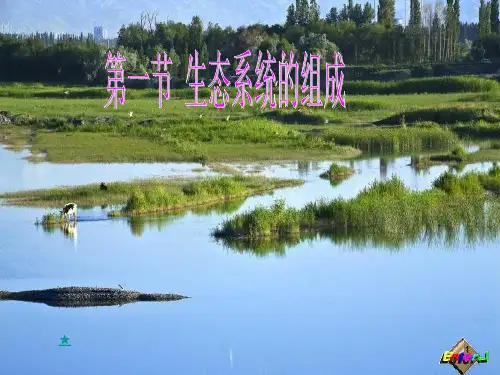 济南版八年级生物下册第六单元第二章第一节生态系统的组成课件