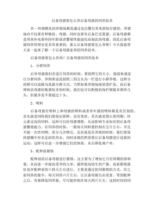 后备母猪要怎么养后备母猪的饲养技术