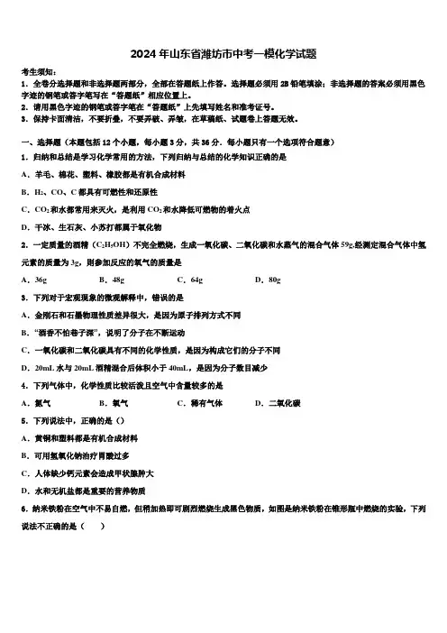 2024年山东省潍坊市中考一模化学试题含解析