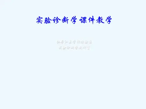 免疫球蛋白A检测三