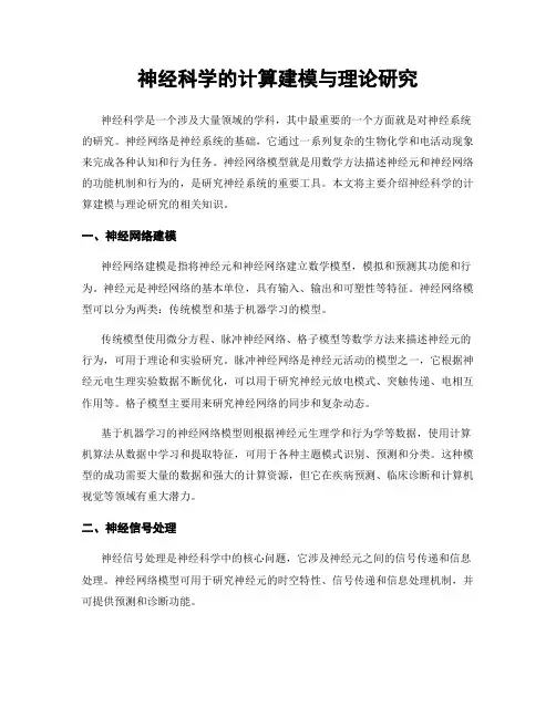 神经科学的计算建模与理论研究