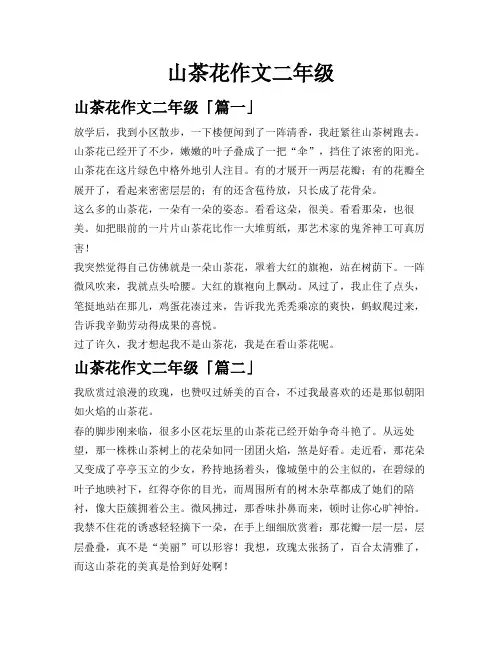 山茶花作文二年级