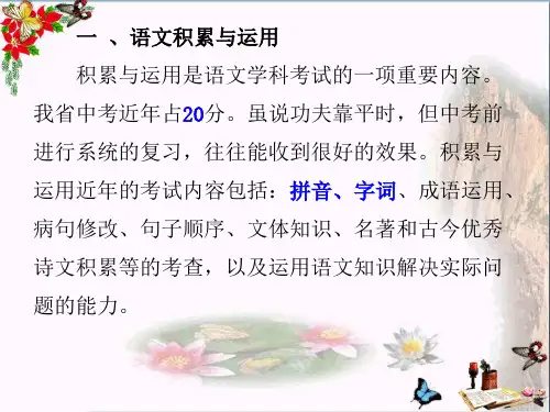 初中语文总复习一：语文知识积累及运用之拼音与汉字 PPT课件