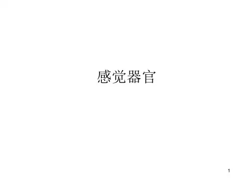 人体解剖学-感官-视器精品PPT课件