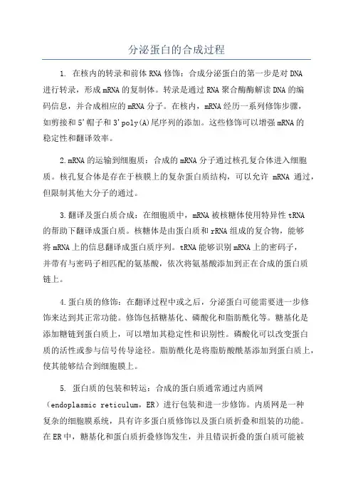 分泌蛋白的合成过程