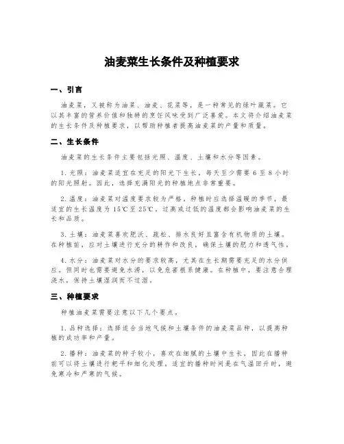 油麦菜生长条件及种植要求简洁语言