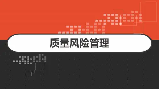 质量风险管理 PPT