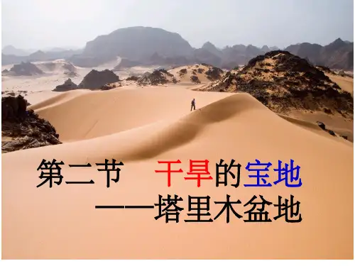 塔里木盆地ppt课件