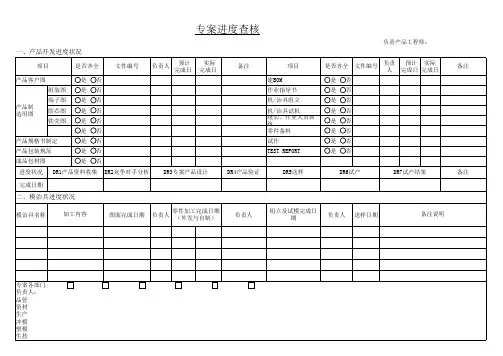 专案进度表