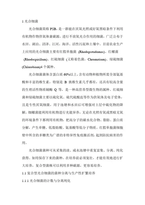 光合细菌培养