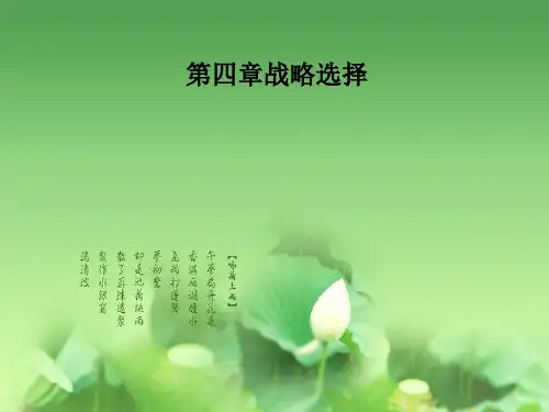 第四章战略选择PPT课件